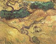 Vincent Van Gogh Field with Two Rabbits (nn04) oil